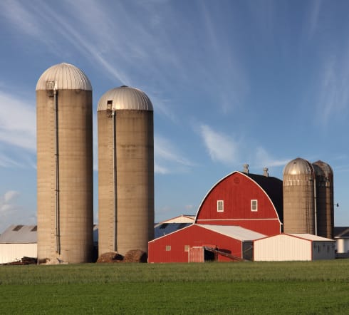 farms farm