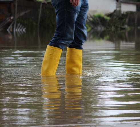 flood flood